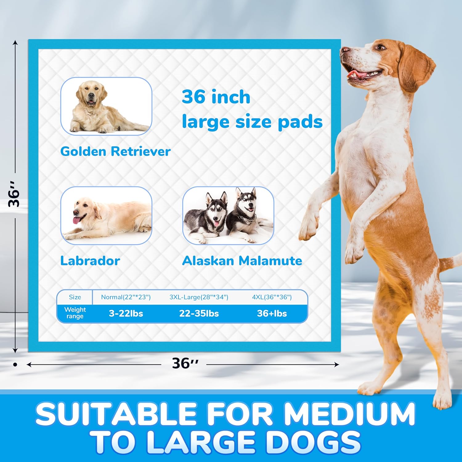 JOINPADS 3XL Pet Training Pee Pads for Dogs Puppy Pads 36