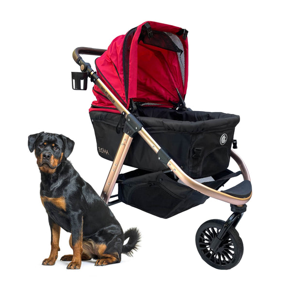 dog stroller jogging Roma Performance Jogging Sports Stroller: The Perfect Companion for A
