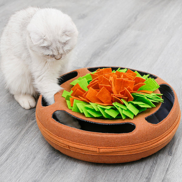 Snuffle Training Cat Puzzle Bowl